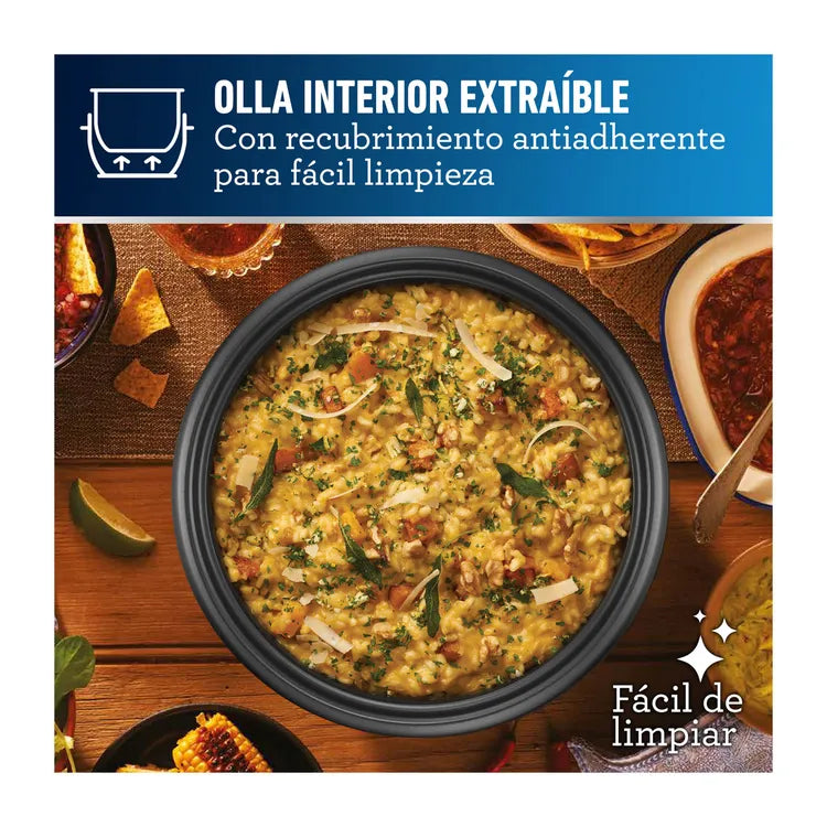 Olla Arrocera OSTER 10 Tazas 2117861 Multiusos Plateado