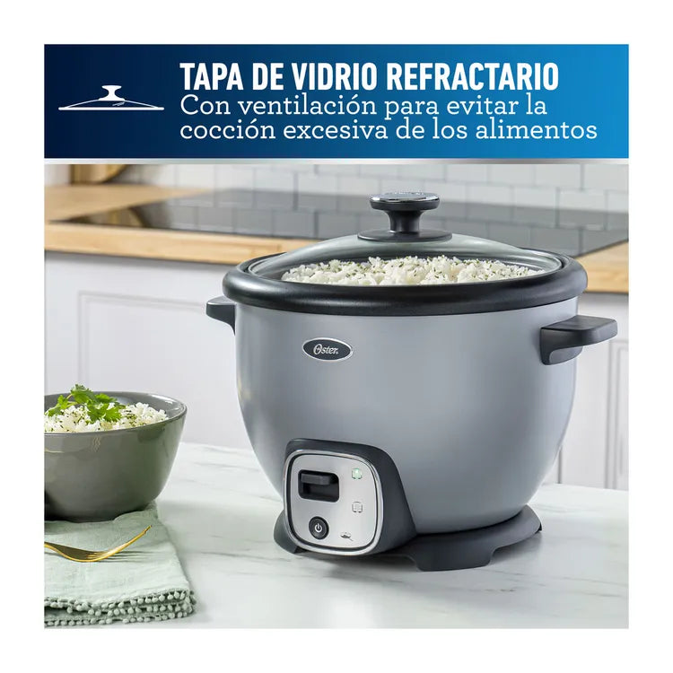 Olla Arrocera OSTER 10 Tazas 2117861 Multiusos Plateado